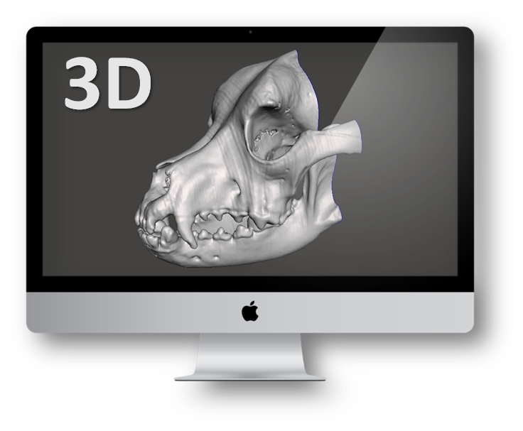 bio3Dvet_Veterinary_online diagnosis_Osirix_CT Images_3D Bone Reconstruction_Bioengineering_Advanced Veterinary Services_Εμβιομηχανική_Προηγμένες Κτηνιατρικές Υπηρεσίες_Κτηνιατρική_online Διάγνωση_Ψηφιακή Αναδόμηση ΟστώνI1
