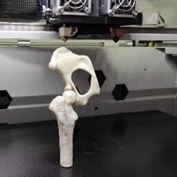 bio3Dvet_Veterinary_Custom Made Surgical Guides_3D Printing_Bioengineering_Advanced Veterinary Services_Κτηνιατρική_Εξατομικευμένοι Χειρουργικοί Οδηγοί_Τρισδιάστατη Εκτύπωση_Εμβιομηχανική_Προηγμένες Κτηνιατρικές Υπηρεσίες_I3