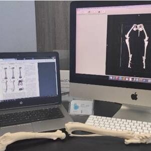 bio3Dvet_Veterinary_Custom Made Surgical Guides_3D Printing_Bioengineering_Advanced Veterinary Services_Κτηνιατρική_Εξατομικευμένοι Χειρουργικοί Οδηγοί_Τρισδιάστατη Εκτύπωση_Εμβιομηχανική_Προηγμένες Κτηνιατρικές Υπηρεσίες_I4