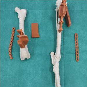 bio3Dvet_Veterinary_Custom Made Surgical Guides_3D Printing_Bioengineering_Advanced Veterinary Services_Κτηνιατρική_Εξατομικευμένοι Χειρουργικοί Οδηγοί_Τρισδιάστατη Εκτύπωση_Εμβιομηχανική_Προηγμένες Κτηνιατρικές Υπηρεσίες_I6