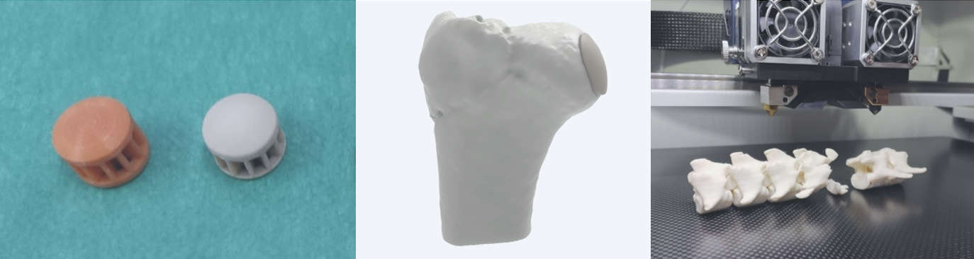 bio3Dvet_Veterinary_Implant PEEK_Anatomical Bone Model_3D Printing_Bioengineering_Advanced Veterinary Services_Κτηνιατρική_Εμφύτευμα PEEK_Ανατομικό Μοντέλο Οστού_Τρισδιάστατη Εκτύπωση_Εμβιομηχανική_Προηγμένες Κτηνιατρικές Υπηρεσίες_I2