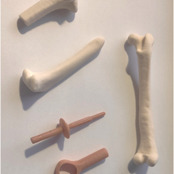 bio3Dvet_Veterinary_Pre-operative Study_ITAP_Implant_Anatomical Bone Models_3D Printing_Bioengineering_Advanced Veterinary Services_Perseus_Perseas_Περσέας_Custom Made Titanium Implant_Hydroxyapatite Coating_Κτηνιατρική_Προ-εγχειρητική Μελέτη_Εμφύτευμα_Ανατομικό Μοντέλο Οστού_Τρισδιάστατη Εκτύπωση_Εμβιομηχανική_Προηγμένες Κτηνιατρικές Υπηρεσίες_Εξατομικευμένο Εμφύτευμα Τιτανίου_Επικάλυψη Υδροξυαπατίτη_Ι1