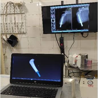 bio3Dvet_Veterinary_ITAP_Implant_Artificial Limb_Bionic Cat_X-rays_Perseus_Perseas_Περσέας_Bioengineering_Advanced Veterinary Services_Custom Made Titanium Implant_Hydroxyapatite Coating_Κτηνιατρική_Βιονική Γάτα_Ενδομυελικό Εμφύτευμα_Τεχνητό Άκρο_Ακτινογραφία_Εμβιομηχανική_Προηγμένες Κτηνιατρικές Υπηρεσίες_Εξατομικευμένο Εμφύτευμα Τιτανίου_Επικάλυψη Υδροξυαπατίτη_Ι2