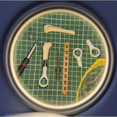 bio3Dvet_Veterinary_Pre-operative Study_ITAP_Implant_Anatomical Bone Models_3D Printing_Bioengineering_Advanced Veterinary Services_Perseus_Perseas_Περσέας_Custom Made Titanium Implant_Hydroxyapatite Coating_Κτηνιατρική_Προ-εγχειρητική Μελέτη_Εμφύτευμα_Ανατομικό Μοντέλο Οστού_Τρισδιάστατη Εκτύπωση_Εμβιομηχανική_Προηγμένες Κτηνιατρικές Υπηρεσίες_Εξατομικευμένο Εμφύτευμα Τιτανίου_Επικάλυψη Υδροξυαπατίτη_Ι2