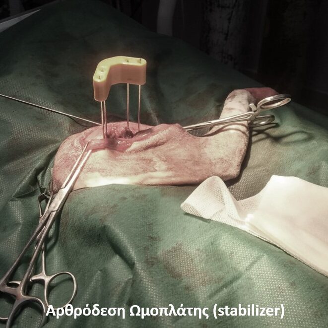 bio3Dvet_Veterinary_Custom Made Surgical Guides_3D Printing_Bioengineering_Advanced Veterinary Services_Κτηνιατρική_Εξατομικευμένοι Χειρουργικοί Οδηγοί_Τρισδιάστατη Εκτύπωση_Εμβιομηχανική_Προηγμένες Κτηνιατρικές Υπηρεσίες
