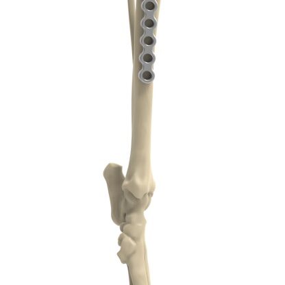 bio3Dvet_Veterinary_Custom Made Surgical Guides_3D Printing_Bioengineering_Advanced Veterinary Services_Κτηνιατρική_Εξατομικευμένοι Χειρουργικοί Οδηγοί_Τρισδιάστατη Εκτύπωση_Εμβιομηχανική_Προηγμένες Κτηνιατρικές Υπηρεσίες_I16