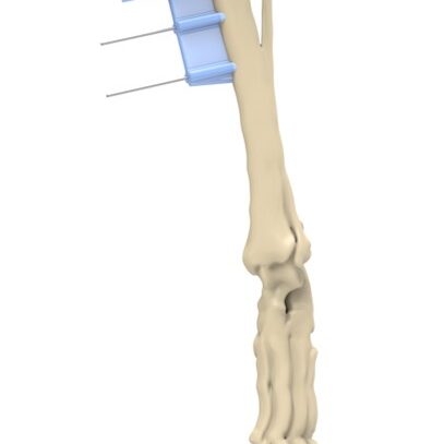 bio3Dvet_Veterinary_Custom Made Surgical Guides_3D Printing_Bioengineering_Advanced Veterinary Services_Κτηνιατρική_Εξατομικευμένοι Χειρουργικοί Οδηγοί_Τρισδιάστατη Εκτύπωση_Εμβιομηχανική_Προηγμένες Κτηνιατρικές Υπηρεσίες_I18