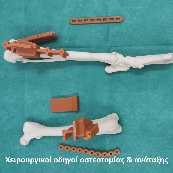bio3Dvet_Veterinary_Pre-operative Planning_Custom Made Surgical Guides_3D Printing_Bioengineering_Advanced Veterinary Services_Κτηνιατρική_Προ-εγχειρητική Μελέτη_Εξατομικευμένοι Χειρουργικοί Οδηγοί_Τρισδιάστατη Εκτύπωση_Εμβιομηχανική_Προηγμένες Κτηνιατρικές Υπηρεσίες