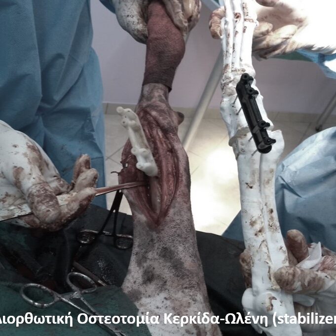 bio3Dvet_Veterinary_Custom Made Surgical Guides_3D Printing_Bioengineering_Advanced Veterinary Services_Κτηνιατρική_Εξατομικευμένοι Χειρουργικοί Οδηγοί_Τρισδιάστατη Εκτύπωση_Εμβιομηχανική_Προηγμένες Κτηνιατρικές Υπηρεσίες