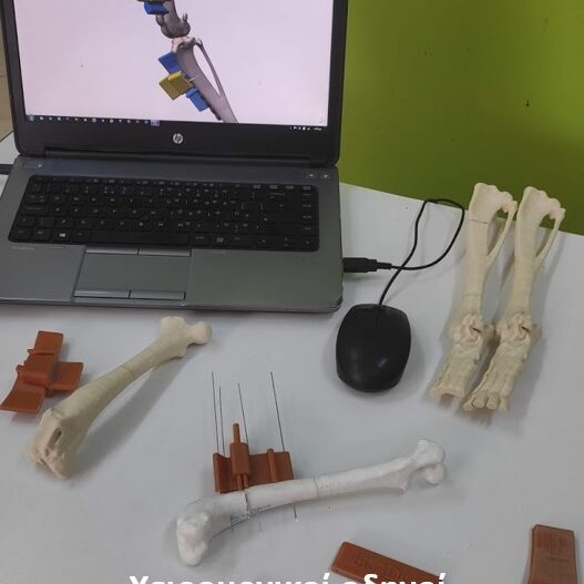 bio3Dvet_Veterinary_Pre-operative Planning_Custom Made Surgical Guides_3D Printing_Bioengineering_Advanced Veterinary Services_Κτηνιατρική_Προ-εγχειρητική Μελέτη_Εξατομικευμένοι Χειρουργικοί Οδηγοί_Τρισδιάστατη Εκτύπωση_Εμβιομηχανική_Προηγμένες Κτηνιατρικές Υπηρεσίες