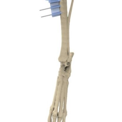 bio3Dvet_Veterinary_Custom Made Surgical Guides_3D Printing_Bioengineering_Advanced Veterinary Services_Κτηνιατρική_Εξατομικευμένοι Χειρουργικοί Οδηγοί_Τρισδιάστατη Εκτύπωση_Εμβιομηχανική_Προηγμένες Κτηνιατρικές Υπηρεσίες_I10
