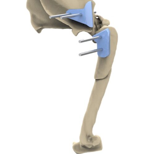 bio3Dvet_Veterinary_Custom Made Surgical Guides_3D Printing_Bioengineering_Advanced Veterinary Services_Κτηνιατρική_Εξατομικευμένοι Χειρουργικοί Οδηγοί_Τρισδιάστατη Εκτύπωση_Εμβιομηχανική_Προηγμένες Κτηνιατρικές Υπηρεσίες_I12
